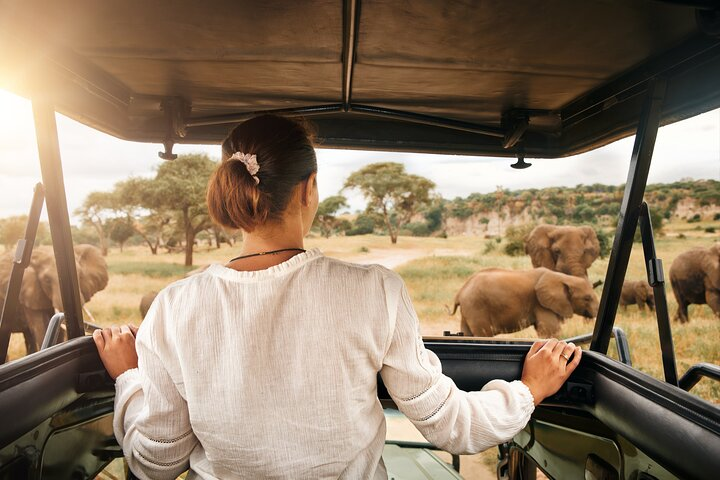 Tourist enjoying open safari vehicle